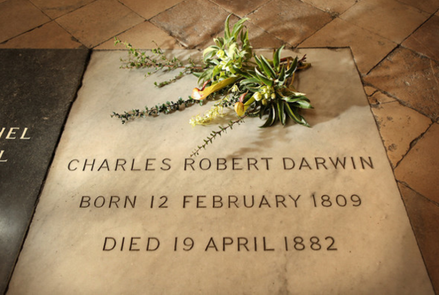 Darwin´s burial