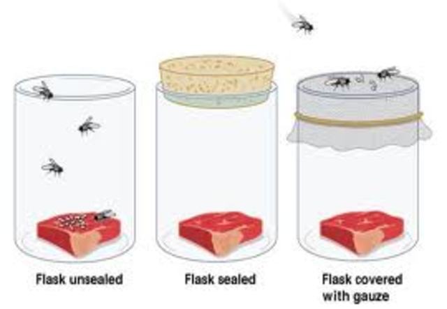 Spontaneous Generation