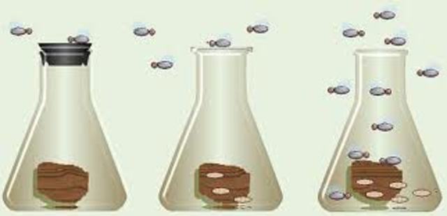 Spontaneous Generation