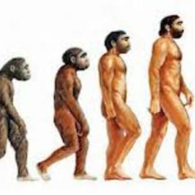 Timeline: LA EVOLUCIÓN HUMANA