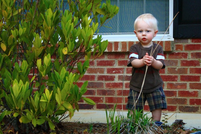 16-18 months: Physical