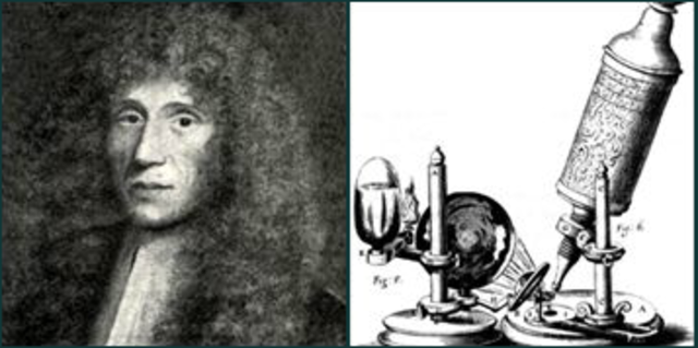 Spontaneous Generation