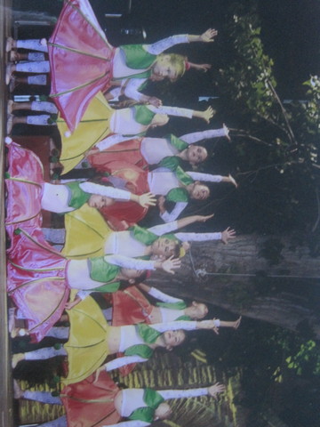 MI PRIMER FESTIVAL DE BALLET