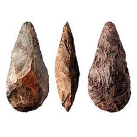 Homo habilis (homínido)