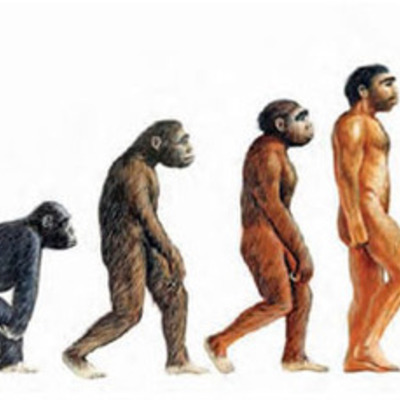 Timeline: Eje cronológico sobre las especies