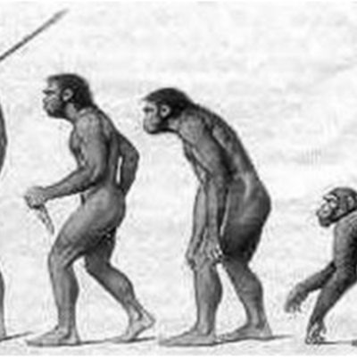 Timeline: La evolución