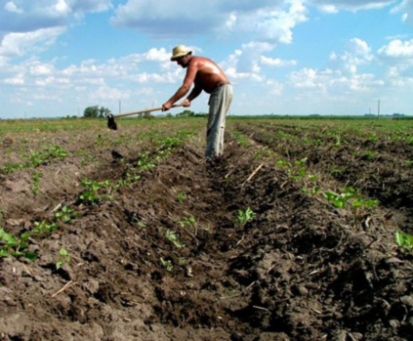 El Programa de  Apoyos Directos y Productivos al Campo(PRODUCE)