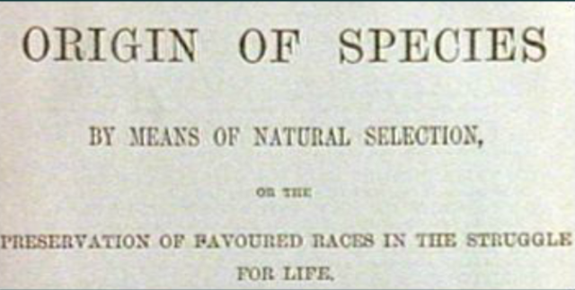 Origin of Species