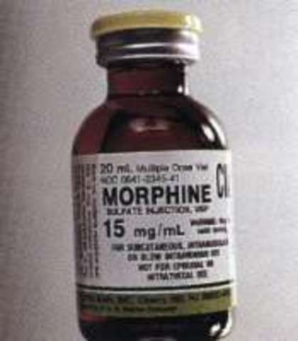 experimento morfina