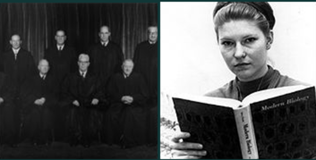 Supreme Court on Evolution