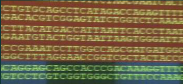 Human Genome