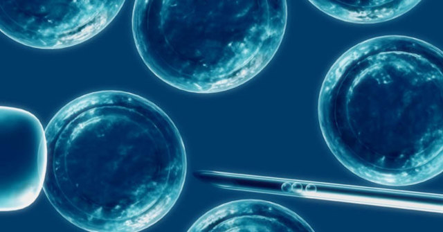 primer embrión congelado