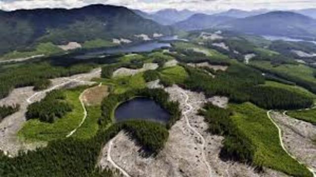 Greenpeace and Sierra Club