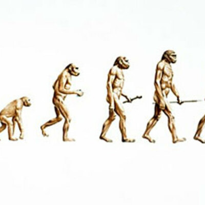 Timeline: Darwin's Evolution Theory and Influences