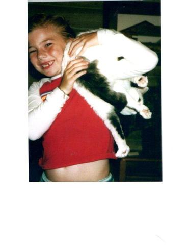 Yo Reciben dos gatos