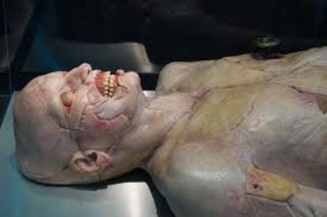 Time since death test