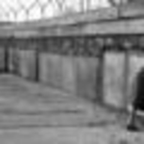 berlin wall is erected