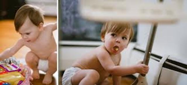 Cognitive: Toddler from 13 to 15 months: