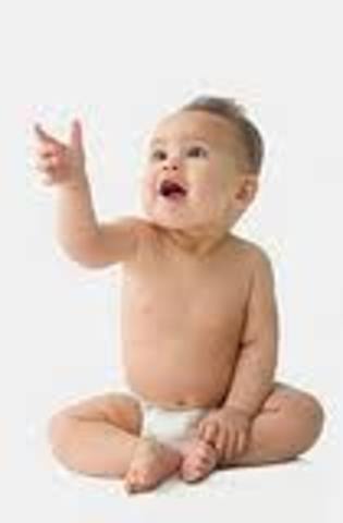 16-18 months (cognitive)