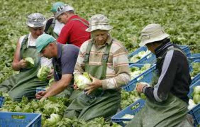 komen meer polen in nederland