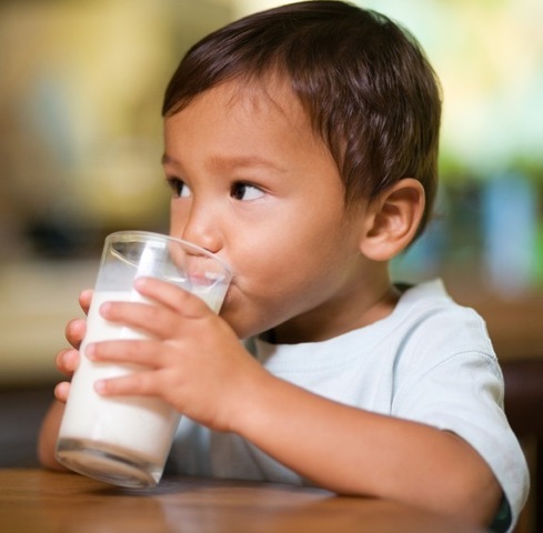 22-24 Months Cognitive Development