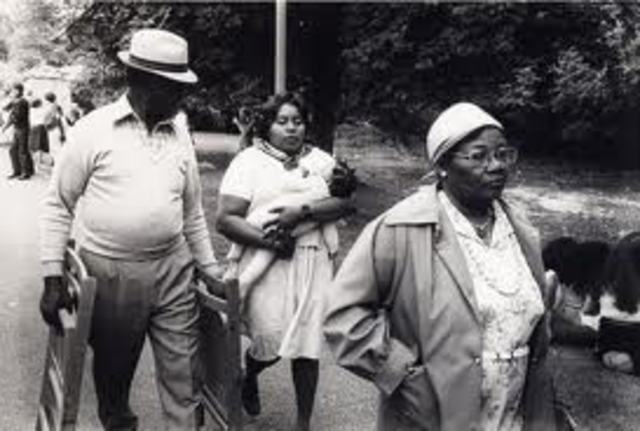 Suriamers naar Nederland