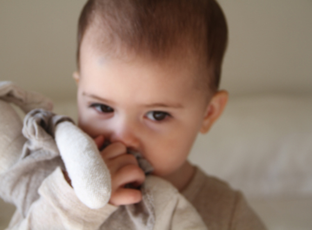 13-15 months ( Physical )