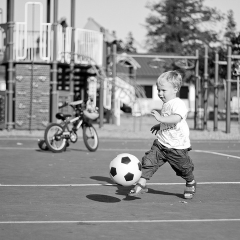 24-30 Months Physical Development