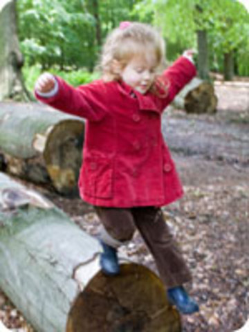 30-36 Months Physical