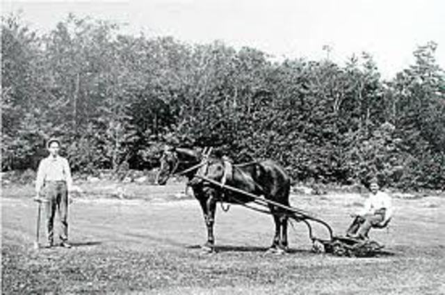 Background to the Revolution