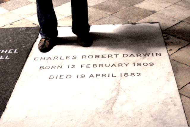 Darwins Burial