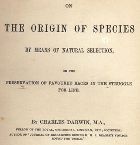 Origin of Species