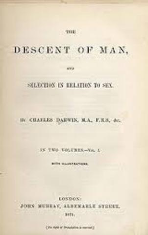 Descedent of man