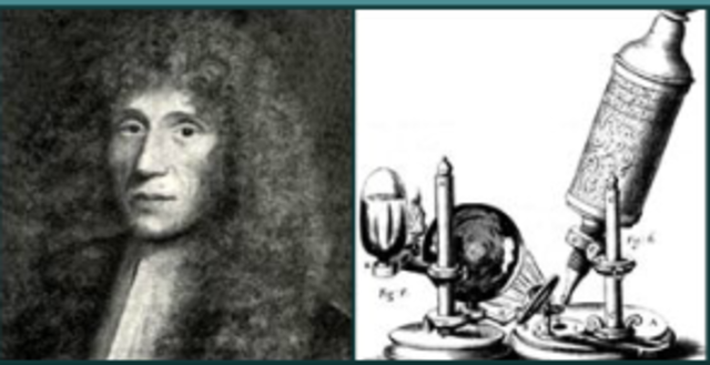 Spontaneous Generation