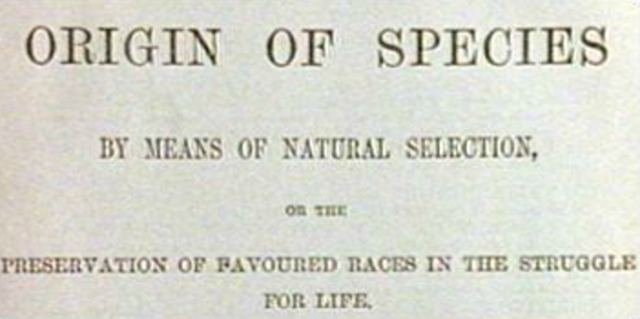 Origin of Species