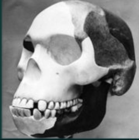 Piltdown Man