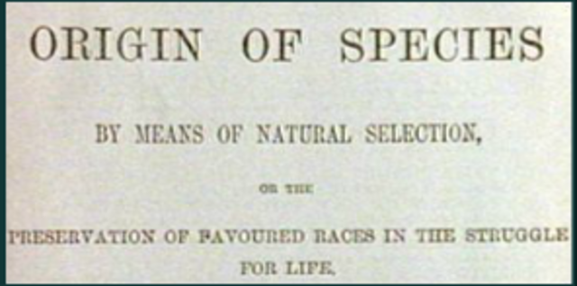 Origin of species