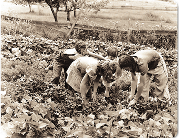 Food And Coal Shortages