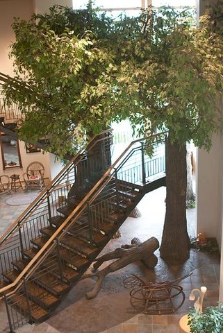 My personal involvement in Epic Growth