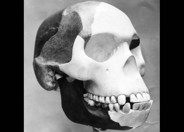 Piltdown man