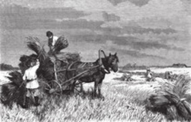 Serf Life after being freed