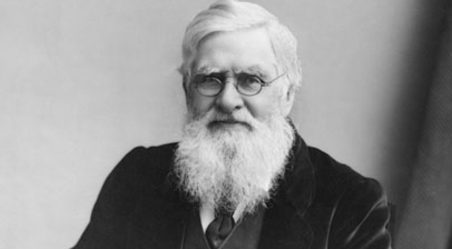 Alfred Russell Wallace