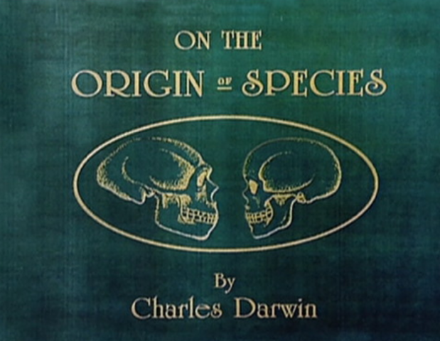 Origin of Species