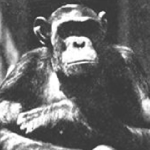 First Anti-Evolution Bill