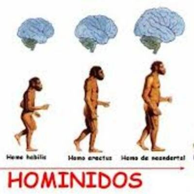 Timeline: Evolución de los homínidos