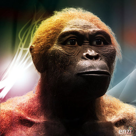Australopithecus Africanus