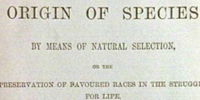Origin of Species