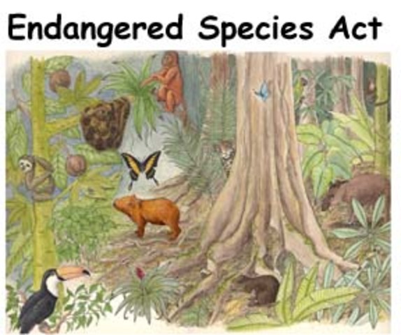 Endangered Species Act Passed