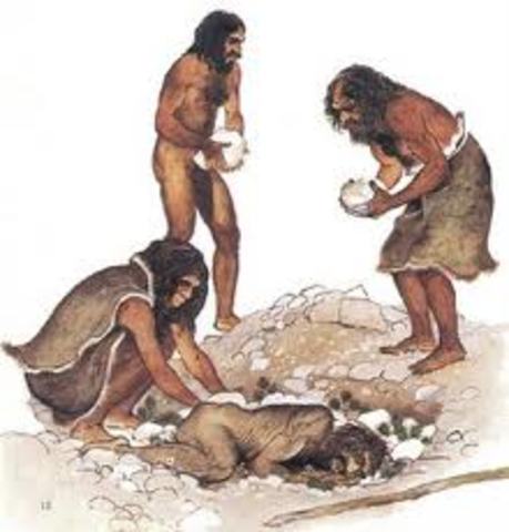 Homo neanderthalensis