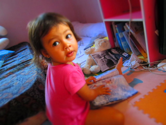 22 - 24 Months : Cognitive